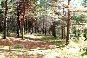 участок у о. Пирос для создания агротуристического комплекса