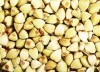 крупа гречневая не пропаренная (зеленая)