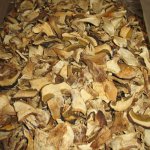 Сушеные белые грибы