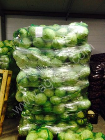 Капуста б/к