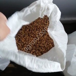 Кедровый орех