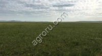 Земля с/х назначения 54000 га., в Забайкальском крае