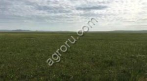 Земля с/х назначения 54000 га., в Забайкальском крае