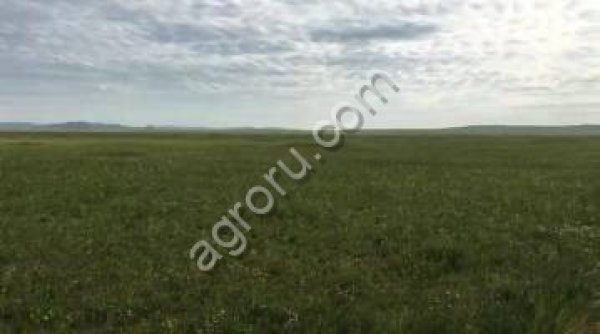 Земля с/х назначения 54000 га., в Забайкальском крае