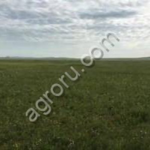 Земля с/х назначения 54000 га., в Забайкальском крае
