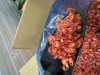перец красный острый замороженный