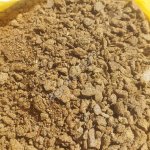 Рапсовый шрот, не менее 37% асв