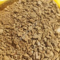 Рапсовый шрот, не менее 37% асв