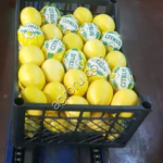 Лимоны