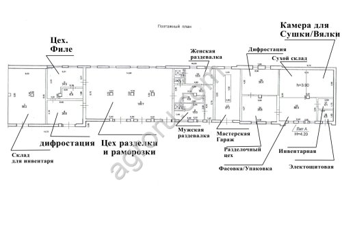 рыбоперерабатывающий завод