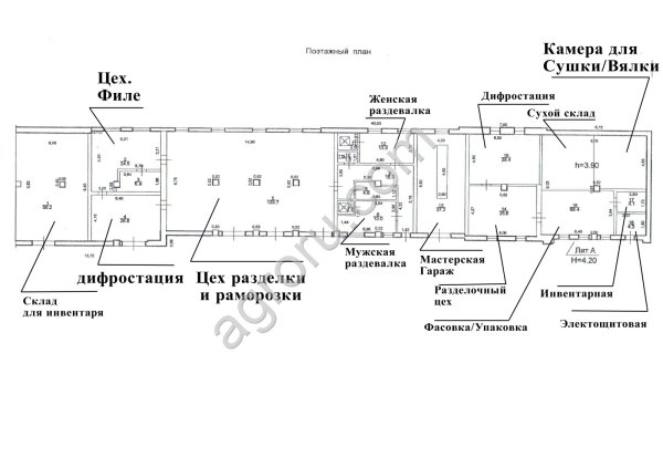 рыбоперерабатывающий завод
