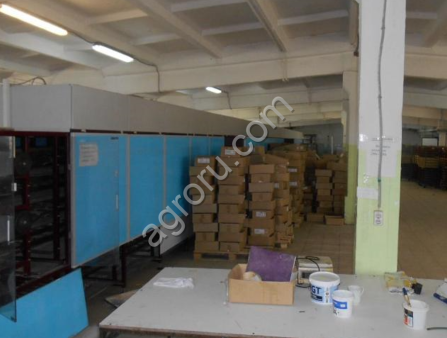 Устройство для ускоренной сушки кондитерских изделий