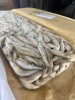 Корюшка НР малоротка