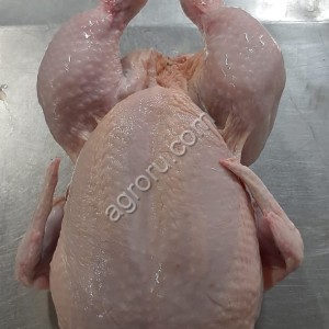 Мясо птицы