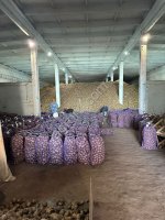 Картофель оптом.