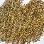 Семена Люцерны