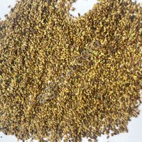 Семена Люцерны