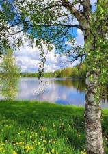 Сельхозземля