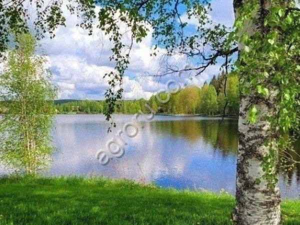 Сельхозземля