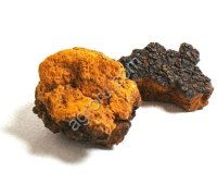 Чага кусковая ДВ 500 гр,