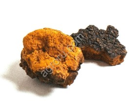 Чага кусковая ДВ  500 гр,