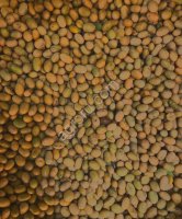 СОЯ ПРОТЕИН 43