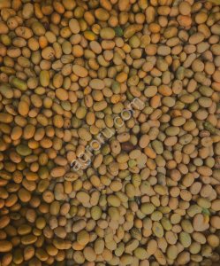 СОЯ ПРОТЕИН 43