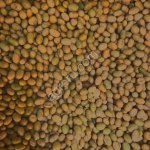 СОЯ ПРОТЕИН 43