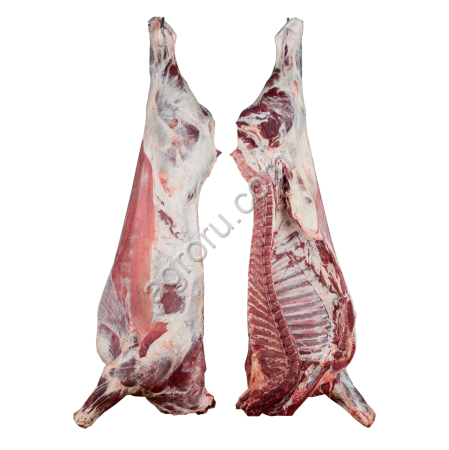 Производство и мяса говядины