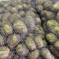 Картофель