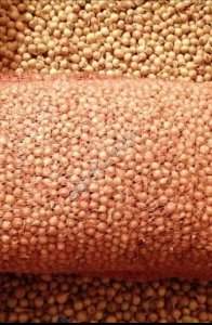 Лук- Севок 4 сорта