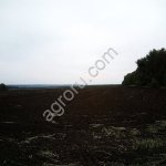 Обрабатываемая земля сельхоз назначения