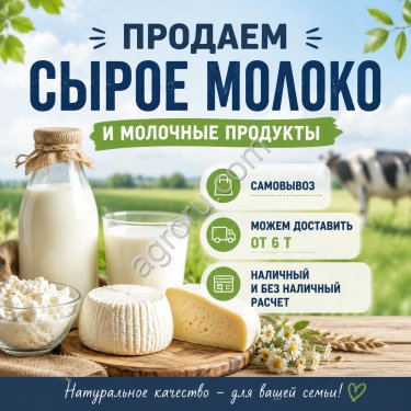 Сырое молоко