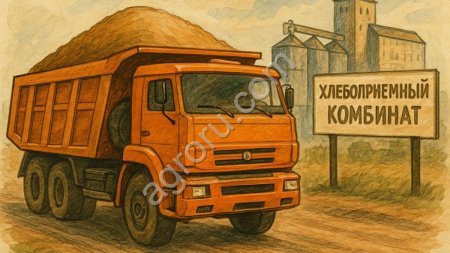 Хлебоприёмный пункт в Липецкой области