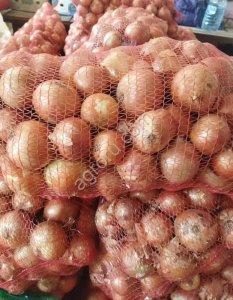 Лук фазированный