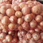 Лук фазированный