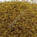 Клевер луговой (семена)