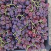 Виноград