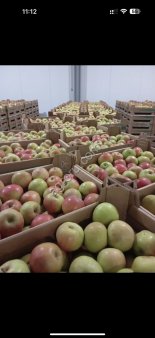 Яблоки от производителя