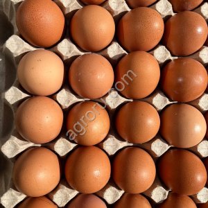ЯЙЦО КУРИНОЕ СО