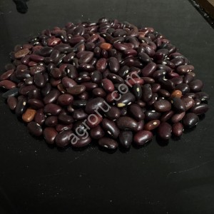 Фасоль