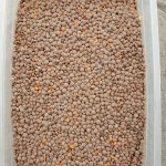 Чечевица красная