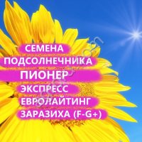 ГИБРИДЫ СЕМЕНА ПОДСОЛНЕЧНИКА ПР64Е71 (ПИОНЕР, PIONEER) (ЭКСПРЕСС, ЗАРАЗИХА F-G)