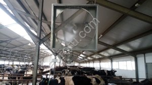 Вентилятор для крс, вентилятор для ферм