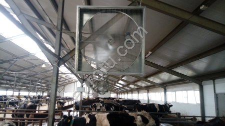 Вентилятор для крс, вентилятор для ферм