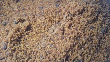 Сахар-сырец