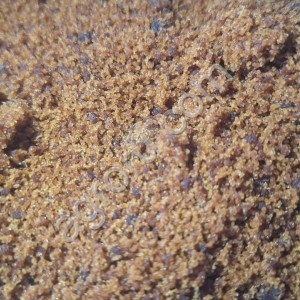 Сахар-сырец