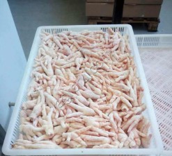 Лапки куриные на экспорт категории А