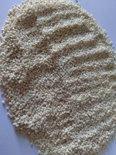 Кунжут