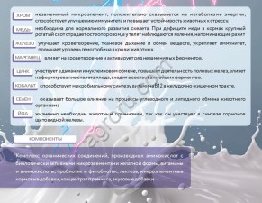 Усилитель цельного молока сухой «БУСТЕРКАП НЕО»